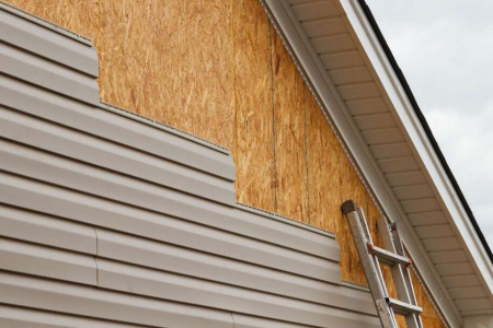 Untitled design (31)